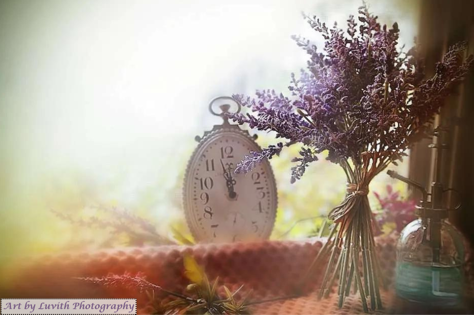 Quando ensinamos e aprendemos a dizer adeus. Ilustração mostrando um relógio e flores em alusão ao tempo e o contexto da história.