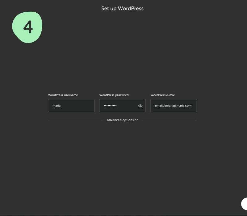 Local for WP Screenshots 4