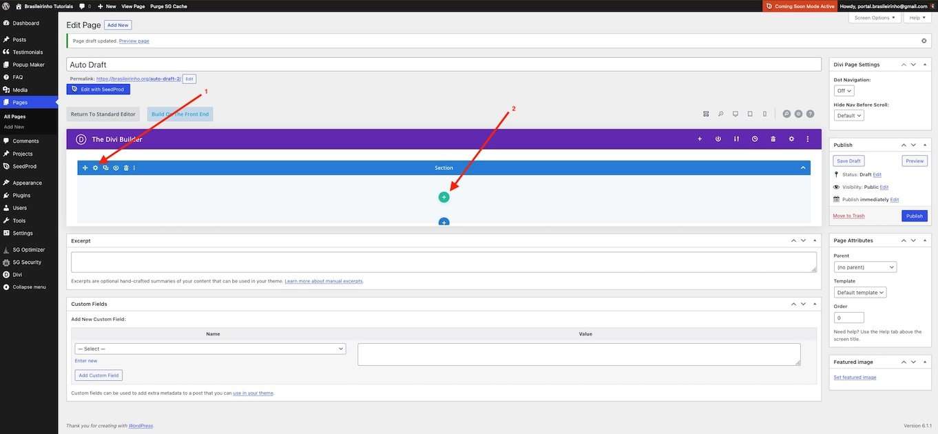 Tutorial Divi 2.3 - Como usar o Divi Builder