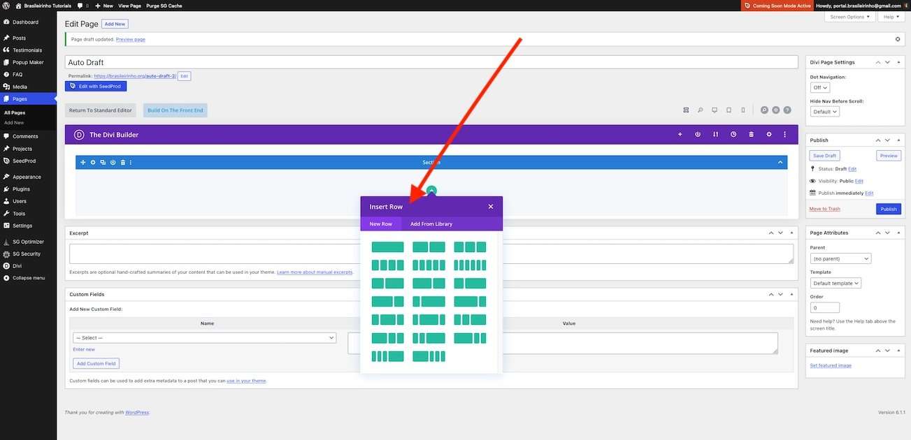 Tutorial Divi 2.4 - Como usar o Divi Builder